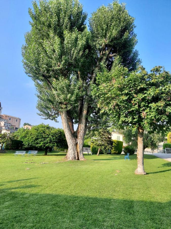 Residenza Palmira Bardolino Apartment Calmasino Bagian luar foto